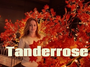 Tanderrose