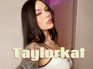 Taylorkat