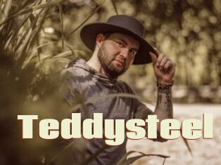 Teddysteel