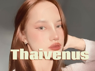 Thaivenus