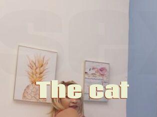 The_cat