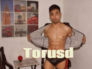 Torusd