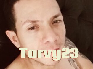 Torvy23