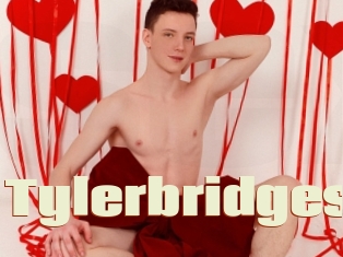 Tylerbridges