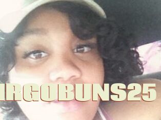 VIRGOBUNS25