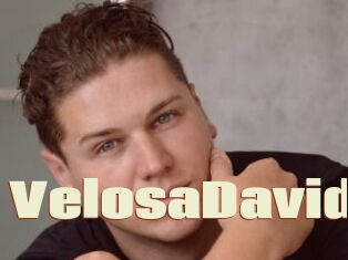 VelosaDavid