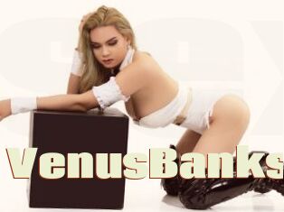 VenusBanks