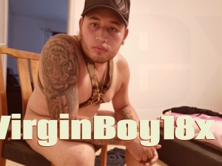 VirginBoy18x