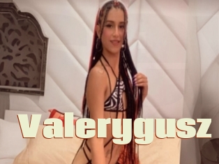 Valerygusz