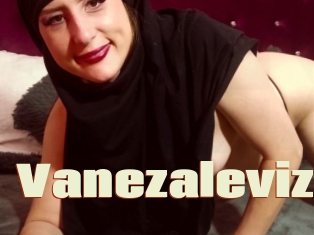 Vanezaleviz