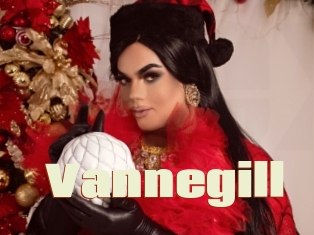 Vannegill