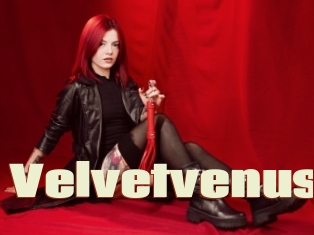 Velvetvenus