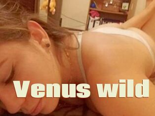 Venus_wild