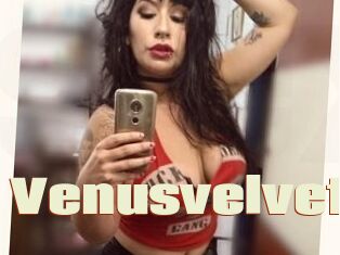 Venusvelvet