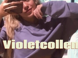 Violetcollen