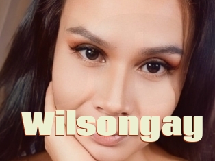 Wilsongay