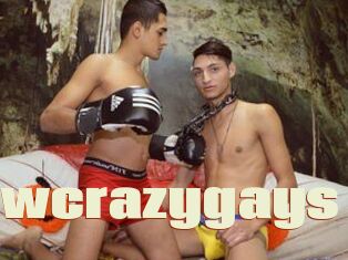 Wowcrazygays