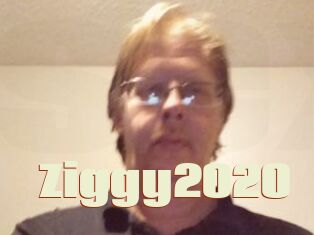 Ziggy2020