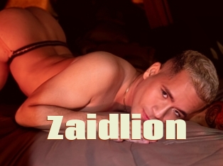 Zaidlion